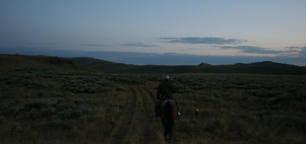 Montana (40)